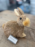 Rabbit Grass Foam