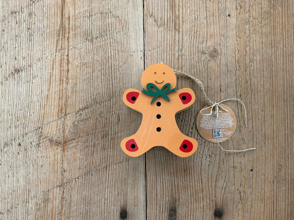Light Up Ornament